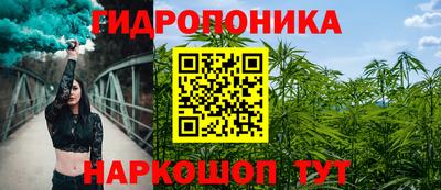 гашик Жуковский