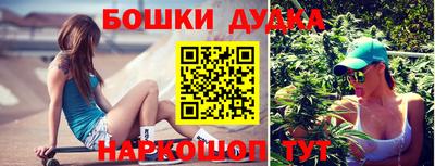 гашик Жуковский