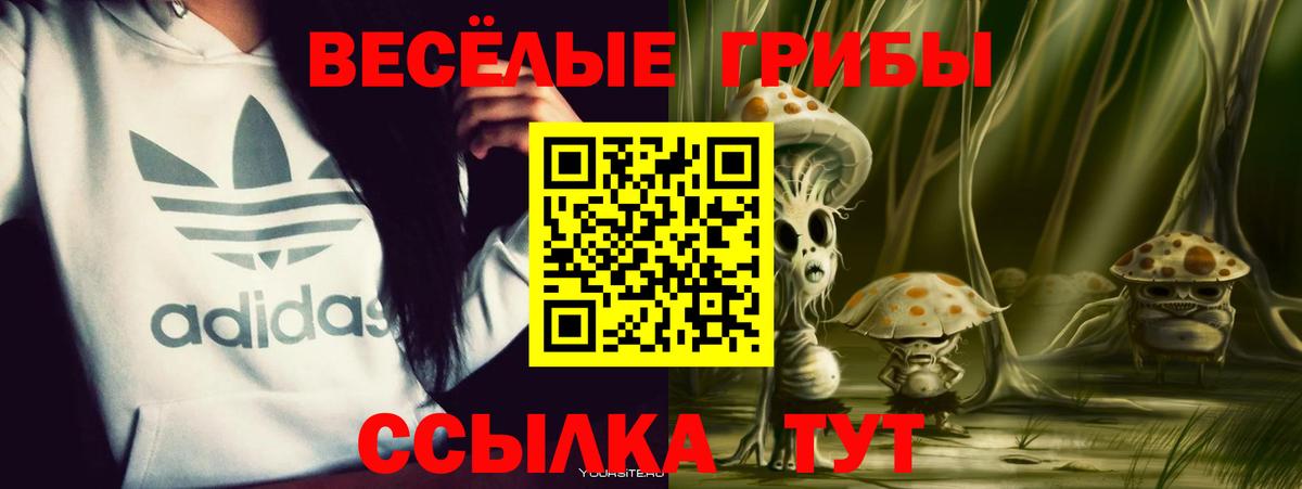 Ефремов  где купить наркоту  Вход с VPN  Галлюциногенные грибы Psilocybine cubensis 